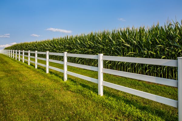Rail Fence Repair